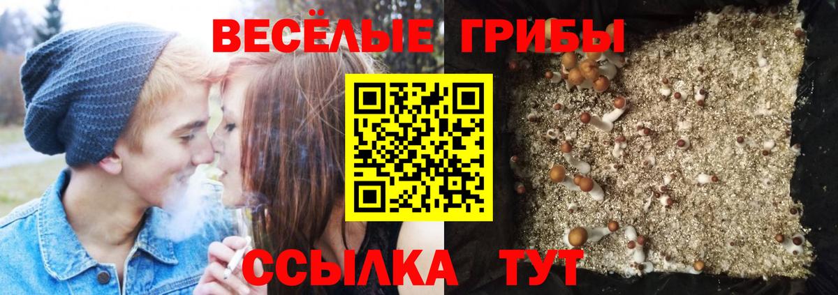 Галлюциногенные грибы прущие грибы Учалы
